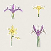 Vintage iris and jonquil flower sticker with white border set design element