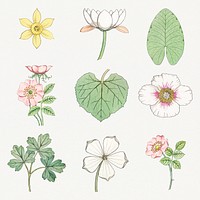 Vintage flower and leaf design element