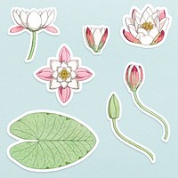 Vintage water lilly flower sticker with white border set design element