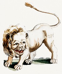 A lion by <a href="https://www.rawpixel.com/search/Johan%20Teyler?sort=curated&amp;page=1">Johan Teyler</a> (1648-1709). Original from The Rijksmuseum. Digitally enhanced by rawpixel.