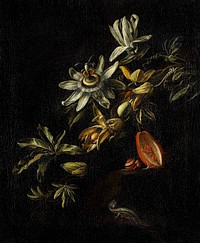 Still Life of green plants by Elias van den Broeck (1670-1708). Original from The Rijksmuseum. Digitally enhanced by rawpixel.