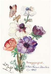 New Year&#39;s Greeting with Anemones (1897) by <a href="https://www.rawpixel.com/search/Sientje%20Mesdag-van%20Houten?sort=curated&amp;page=1">Sientje Mesdag-van Houten</a>. Original from The Rijksmuseum. Digitally enhanced by rawpixel.