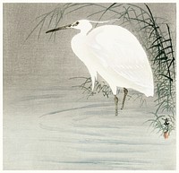 Little egret (1900-1930) by <a href="https://www.rawpixel.com/search/Ohara%20Koson?sort=curated&amp;page=1">Ohara Koson</a> (1877-1945). Original from The Rijksmuseum. Digitally enhanced by rawpixel.