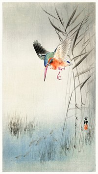 Kingfisher hunting for fish in the water (1900) by <a href="https://www.rawpixel.com/search/Ohara%20Koson?sort=curated&amp;page=1">Ohara Koson</a> (1877-1945). Original from The Rijksmuseum. Digitally enhanced by rawpixel.