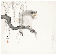 Monkey on a tree branch (1900-1930) by <a href="https://www.rawpixel.com/search/Ohara%20Koson?sort=curated&amp;page=1">Ohara Koson</a> (1877-1945). Original from The Rijksmuseum. Digitally enhanced by rawpixel.