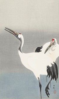 Two cranes (1900-1930) by <a href="https://www.rawpixel.com/search/Ohara%20Koson?sort=curated&amp;page=1">Ohara Koson</a> (1877-1945). Original from The Rijksmuseum. Digitally enhanced by rawpixel.