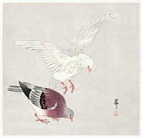 Two pigeons (1877-1945) by <a href="https://www.rawpixel.com/search/Ohara%20Koson?sort=curated&amp;page=1">Ohara Koson</a> (1877-1945). Original from The Rijksmuseum. Digitally enhanced by rawpixel.