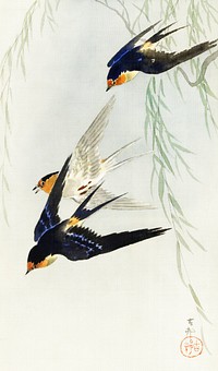 Three birds in full flight by <a href="https://www.rawpixel.com/search/Ohara%20Koson?sort=curated&amp;page=1">Ohara Koson</a> (1877-1945). Original from The Rijksmuseum. Digitally enhanced by rawpixel.