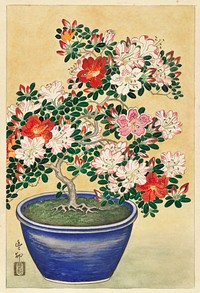 Blooming azalea in blue pot (1920 - 1930) by <a href="https://www.rawpixel.com/search/Ohara%20Koson?sort=curated&amp;page=1">Ohara Koson</a> (1877-1945). Original from The Rijksmuseum. Digitally enhanced by rawpixel.