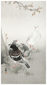 Three pigeons (1900-1930) by <a href="https://www.rawpixel.com/search/Ohara%20Koson?sort=curated&amp;page=1">Ohara Koson</a> (1877-1945). Original from The Rijksmuseum. Digitally enhanced by rawpixel.