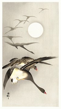 Geese at full moon (1930 - 1945) by <a href="https://www.rawpixel.com/search/Ohara%20Koson?sort=curated&amp;page=1">Ohara Koson</a> (1877-1945). Original from The Rijksmuseum. Digitally enhanced by rawpixel.