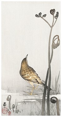 Pipit on a waterfront (1900-1910) by <a href="https://www.rawpixel.com/search/Ohara%20Koson?sort=curated&amp;page=1">Ohara Koson</a> (1877-1945). Original from The Rijksmuseum. Digitally enhanced by rawpixel.