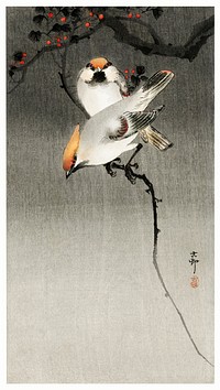 Bohemian waxwing birds (1900-1930) by <a href="https://www.rawpixel.com/search/Ohara%20Koson?sort=curated&amp;page=1">Ohara Koson</a> (1877-1945). Original from The Rijksmuseum. Digitally enhanced by rawpixel.