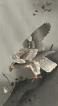 Eagle lurking at a prey (1877-1930) by <a href="https://www.rawpixel.com/search/Ohara%20Koson?sort=curated&amp;page=1">Ohara Koson</a> (1877-1945). Original from The Rijksmuseum. Digitally enhanced by rawpixel.