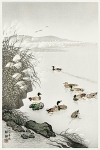 Ducks in the water (1931) by <a href="https://www.rawpixel.com/search/Ohara%20Koson?sort=curated&amp;page=1">Ohara Koson</a> (1877-1945). Original from The Rijksmuseum. Digitally enhanced by rawpixel.