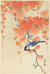 Great tit on paulownia branch (1925 - 1936) by <a href="https://www.rawpixel.com/search/Ohara%20Koson?sort=curated&amp;page=1">Ohara Koson</a> (1877-1945). Original from The Rijksmuseum. Digitally enhanced by rawpixel.
