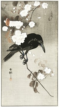 Crow with cherry blossom (1900 - 1930) by <a href="https://www.rawpixel.com/search/Ohara%20Koson?sort=curated&amp;page=1">Ohara Koson</a> (1877-1945). Original from The Rijksmuseum. Digitally enhanced by rawpixel.