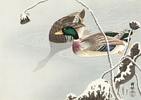 Two Mallards near a Snow-Covered Lotus (1925 - 1936) by <a href="https://www.rawpixel.com/search/Ohara%20Koson?sort=curated&amp;page=1">Ohara Koson</a> (1877-1945). Original from The Rijksmuseum. Digitally enhanced by rawpixel.