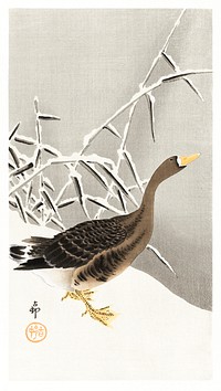 White-fronted goose in the snow (1900 - 1930) by <a href="https://www.rawpixel.com/search/Ohara%20Koson?sort=curated&amp;page=1">Ohara Koson</a> (1877-1945). Original from The Rijksmuseum. Digitally enhanced by rawpixel.