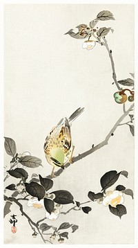 Bunting on blossom branch (1900 - 1930) by <a href="https://www.rawpixel.com/search/Ohara%20Koson?sort=curated&amp;page=1">Ohara Koson</a> (1877-1945). Original from The Rijksmuseum. Digitally enhanced by rawpixel.
