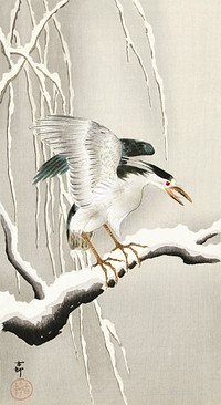Emerge on snowy branch (1900 - 1930) by <a href="https://www.rawpixel.com/search/Ohara%20Koson?sort=curated&amp;page=1">Ohara Koson</a> (1877-1945). Original from The Rijksmuseum. Digitally enhanced by rawpixel.