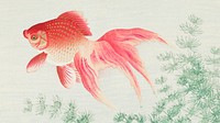 Ohara Koson wallpaper, Japanese desktop background, Two veil goldfish Japanese print