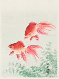 Two veil goldfish (1926) by <a href="https://www.rawpixel.com/search/Ohara%20Koson?sort=curated&amp;page=1">Ohara Koson</a> (1877-1945). Original from The Rijksmuseum. Digitally enhanced by rawpixel.