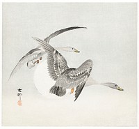 Two colt geese in flight (1900 - 1930) by <a href="https://www.rawpixel.com/search/Ohara%20Koson?sort=curated&amp;page=1">Ohara Koson</a> (1877-1945). Original from The Rijksmuseum. Digitally enhanced by rawpixel.