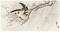 Gray starling in storm (1900 - 1910) by <a href="https://www.rawpixel.com/search/Ohara%20Koson?sort=curated&amp;page=1">Ohara Koson</a> (1877-1945). Original from The Rijksmuseum. Digitally enhanced by rawpixel.