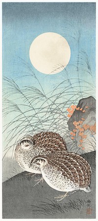 Two quails at full moon (1900 - 1936) by <a href="https://www.rawpixel.com/search/Ohara%20Koson?sort=curated&amp;page=1">Ohara Koson</a> (1877-1945). Original from The Rijksmuseum. Digitally enhanced by rawpixel.