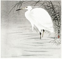 Little Egret (1900 - 1930) by <a href="https://www.rawpixel.com/search/Ohara%20Koson?sort=curated&amp;page=1">Ohara Koson</a> (1877-1945). Original from The Rijksmuseum. Digitally enhanced by rawpixel.
