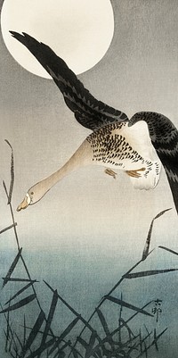 White-fronted goose at full moon (1900 - 1930) by <a href="https://www.rawpixel.com/search/Ohara%20Koson?sort=curated&amp;page=1">Ohara Koson</a> (1877-1945). Original from The Rijksmuseum. Digitally enhanced by rawpixel.
