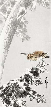 Indian quack on snowy tree branch (1900 - 1930) by <a href="https://www.rawpixel.com/search/Ohara%20Koson?sort=curated&amp;page=1">Ohara Koson</a> (1877-1945). Original from The Rijksmuseum. Digitally enhanced by rawpixel.