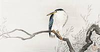 Quack on erratic branch (1900 - 1910) by <a href="https://www.rawpixel.com/search/Ohara%20Koson?sort=curated&amp;page=1">Ohara Koson</a> (1877-1945). Original from The Rijksmuseum. Digitally enhanced by rawpixel.