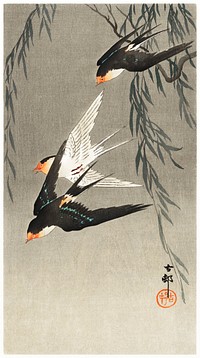 Three red-tailed swallows in dive (1900-1930) by <a href="https://www.rawpixel.com/search/Ohara%20Koson?sort=curated&amp;page=1">Ohara Koson</a> (1877-1945). Original from The Rijksmuseum. Digitally enhanced by rawpixel.