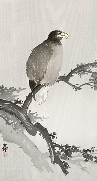 White-tailed eagle on branch (1900 - 1930) by <a href="https://www.rawpixel.com/search/Ohara%20Koson?sort=curated&amp;page=1">Ohara Koson</a> (1877-1945). Original from The Rijksmuseum. Digitally enhanced by rawpixel.