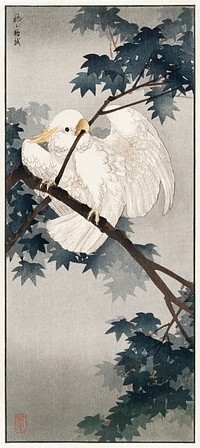 Yellow crested cockatoo in tree (1900 - 1940) by <a href="https://www.rawpixel.com/search/Ohara%20Koson?sort=curated&amp;page=1">Ohara Koson</a> n (1877-1945). Original from The Rijksmuseum. Digitally enhanced by rawpixel.