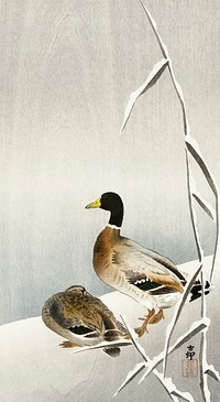 Two ducks on snowy reed (1900 - 1930) by <a href="https://www.rawpixel.com/search/Ohara%20Koson?sort=curated&amp;page=1">Ohara Koson</a> (1877-1945). Original from The Rijksmuseum. Digitally enhanced by rawpixel.