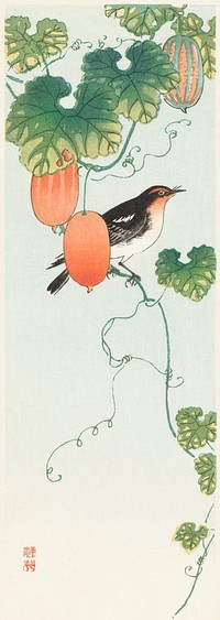 Songbird in cucumber plant (1925 - 1936) by <a href="https://www.rawpixel.com/search/Ohara%20Koson?sort=curated&amp;page=1">Ohara Koson</a> (1877-1945). Original from The Rijksmuseum. Digitally enhanced by rawpixel.