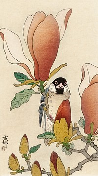 Sparrow on blooming magnolia branch (1900 - 1930) by <a href="https://www.rawpixel.com/search/Ohara%20Koson?sort=curated&amp;page=1">Ohara Koson</a> (1877-1945). Original from The Rijksmuseum. Digitally enhanced by rawpixel.