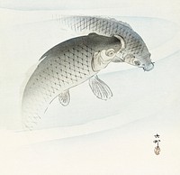 Two carp fish (1900 - 1910) by <a href="https://www.rawpixel.com/search/Ohara%20Koson?sort=curated&amp;page=1">Ohara Koson</a> (1877-1945). Original from The Rijksmuseum. Digitally enhanced by rawpixel.