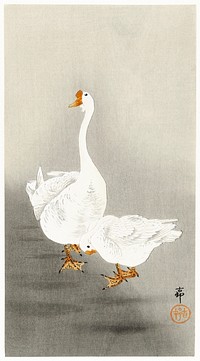 Two geese (1900 - 1930) by <a href="https://www.rawpixel.com/search/Ohara%20Koson?sort=curated&amp;page=1">Ohara Koson</a> (1877-1945). Original from The Rijksmuseum. Digitally enhanced by rawpixel.