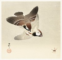 Ring sparrows and insect (1900 - 1936) by <a href="https://www.rawpixel.com/search/Ohara%20Koson?sort=curated&amp;page=1">Ohara Koson</a> (1877-1945). Original from The Rijksmuseum. Digitally enhanced by rawpixel.