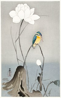 Kingfisher with Lotus Flower (1900 - 1945) by <a href="https://www.rawpixel.com/search/Ohara%20Koson?sort=curated&amp;page=1">Ohara Koson</a> (1877-1945). Original from The Rijksmuseum. Digitally enhanced by rawpixel.