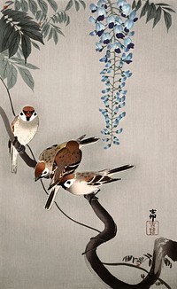 Ring sparrows at wisteria (1900 - 1936) by <a href="https://www.rawpixel.com/search/Ohara%20Koson?sort=curated&amp;page=1">Ohara Koson</a> (1877-1945). Original from The Rijksmuseum. Digitally enhanced by rawpixel.