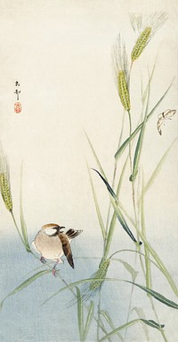Bird and butterfly (1900 - 1930) by <a href="https://www.rawpixel.com/search/Ohara%20Koson?sort=curated&amp;page=1">Ohara Koson</a> (1877-1945). Original from The Rijksmuseum. Digitally enhanced by rawpixel.