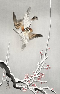 Sparrows and snowy plum tree (1900 - 1936) by <a href="https://www.rawpixel.com/search/Ohara%20Koson?sort=curated&amp;page=1">Ohara Koson</a> (1877-1945). Original from The Rijksmuseum. Digitally enhanced by rawpixel.