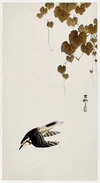 Bird in downward flight (1900 - 1930) by <a href="https://www.rawpixel.com/search/Ohara%20Koson?sort=curated&amp;page=1">Ohara Koson</a> (1877-1945). Original from The Rijksmuseum. Digitally enhanced by rawpixel.