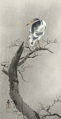 Kwak on branch (1900 - 1936) by <a href="https://www.rawpixel.com/search/Ohara%20Koson?sort=curated&amp;page=1">Ohara Koson</a> (1877-1945). Original from The Rijksmuseum. Digitally enhanced by rawpixel.