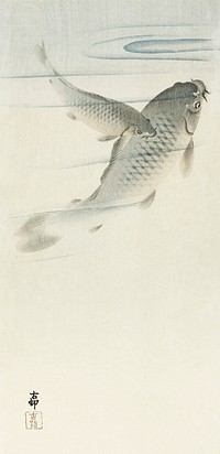 Carp (1900 - 1936) by <a href="https://www.rawpixel.com/search/Ohara%20Koson?sort=curated&amp;page=1">Ohara Koson</a> (1877-1945). Original from The Rijksmuseum. Digitally enhanced by rawpixel.